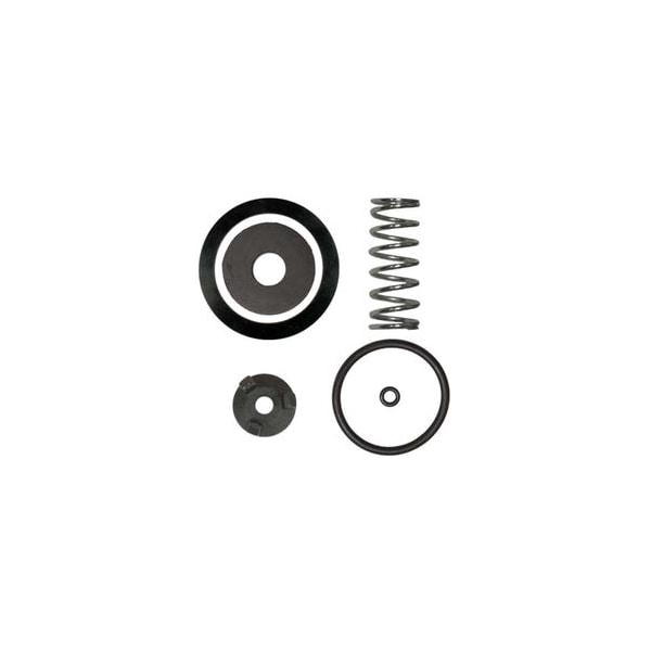 Marco Clemco 1" Inlet Valve Service Kit 10C01929 Zoro